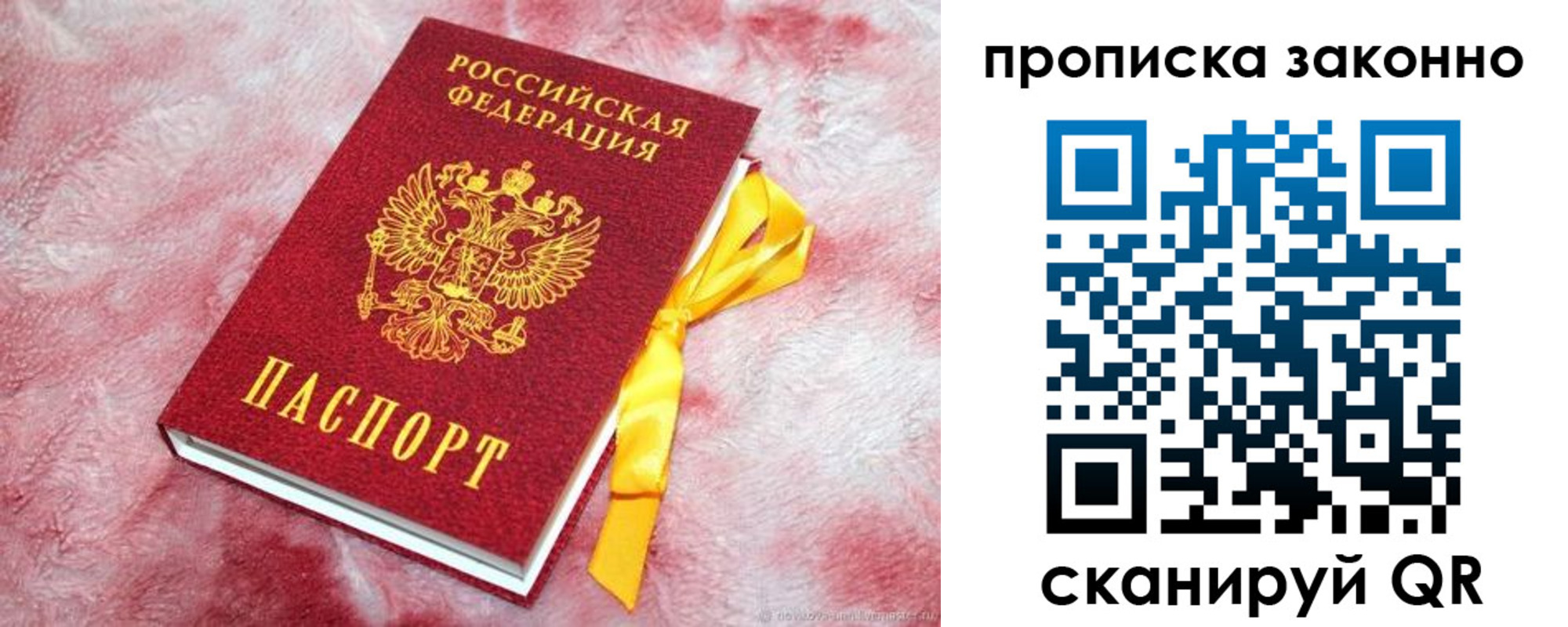 временная регистрация поиск в Смоленской области